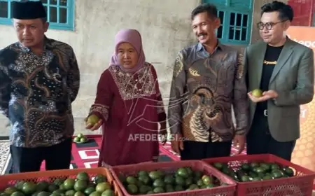 Dari Dapur ke Kebun Jeruk: Perjalanan Lilik Eko Wijayanti dari Banyuwangi Menjadi Inspirasi Usaha
