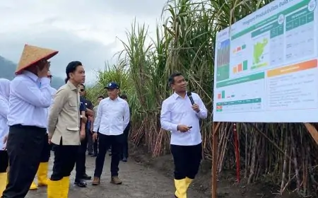 Wapres Gibran Tinjau Kebun Tebu di Banyuwangi, Dorong Swasembada Gula Lewat Kemitraan Inklusif