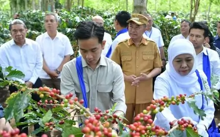 PTPN I Pacu Hilirisasi Kopi dari Lereng Ijen, Wapres Gibran: Branding dan Koperasi Kunci Kejayaan Nasional