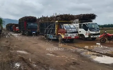 Aksi Blokade Sopir Truk Pengangkut Tebu Lumpuhkan Perkebunan dan Produksi Gula di Banyuwangi
