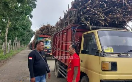 Mogok Massal Sopir Truk Tebu Lumpuhkan Produksi, Pabrik Gula Glenmore Terancam Gagal Giling
