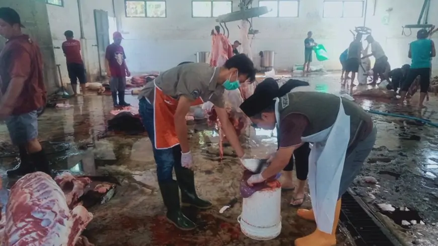 Dinas Peternakan Jombang Lakukan Pemeriksaan Post-Mortem Hewan Kurban