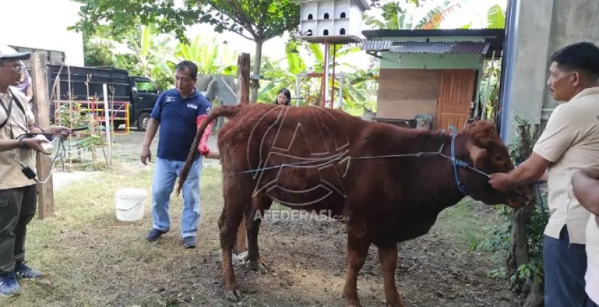 Kolaborasi UGM dan Disnakeswan Tulungagung: Cetak Peternak Milenial Berbasis Smart Village