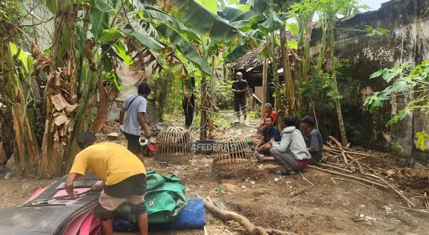 Gerebek Arena Sabung Ayam di Situbondo, Tiga Penjudi Diciduk Polisi Bersama Barang Bukti Puluhan Juta
