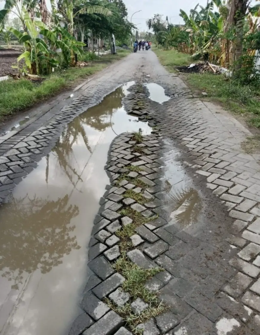 Jalan Akses Utama Rusak Parah, Kades Ngampel Berharap Pemkab Gresik Segera Melakukan Perbaikan