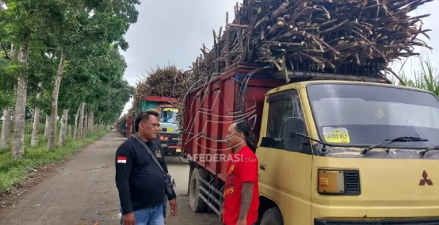 Mogok Massal Sopir Truk Tebu Lumpuhkan Produksi, Pabrik Gula Glenmore Terancam Gagal Giling