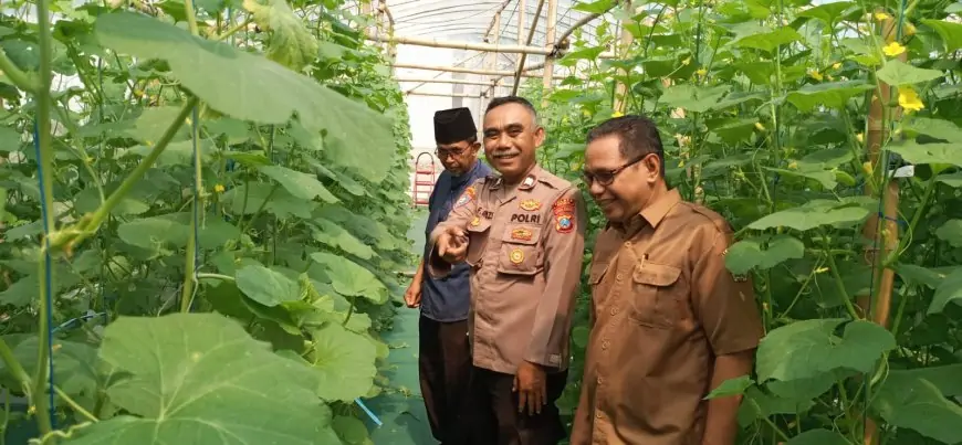 Dongkrak PADes Suci, Tanah Aset Desa Disulap Menjadi Melon Greenhouse