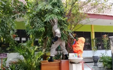 Belasan Siswa SD Disengat Tawon Vespa