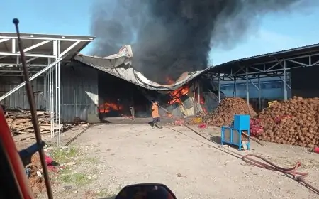 Gudang Kopra dan Belerang di Kedamean Dilalap Api, Pemadaman Terkendala Bau Menyengat