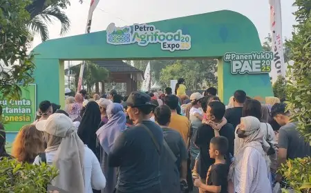 Ribuan Warga Serbu Wisata Petik Buah dan Sayuran Murah