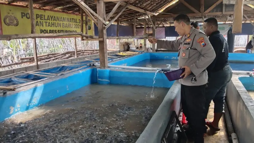 AKP Teguh Santoso dan Kolam Lele di Pekarangan: Polisi yang Menebar Asa di Tengah Desa