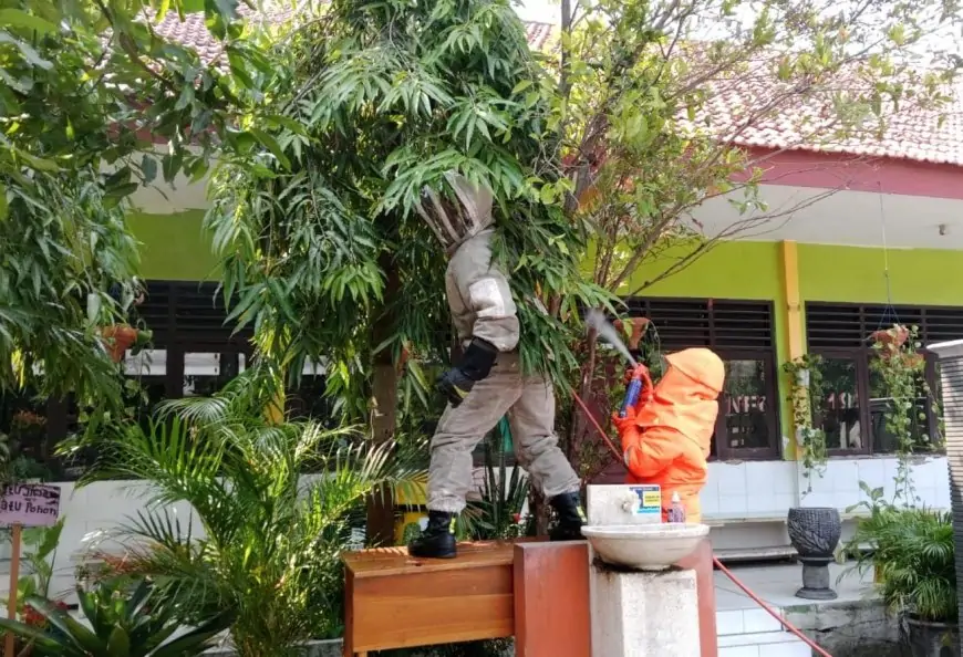 Belasan Siswa SD Disengat Tawon Vespa