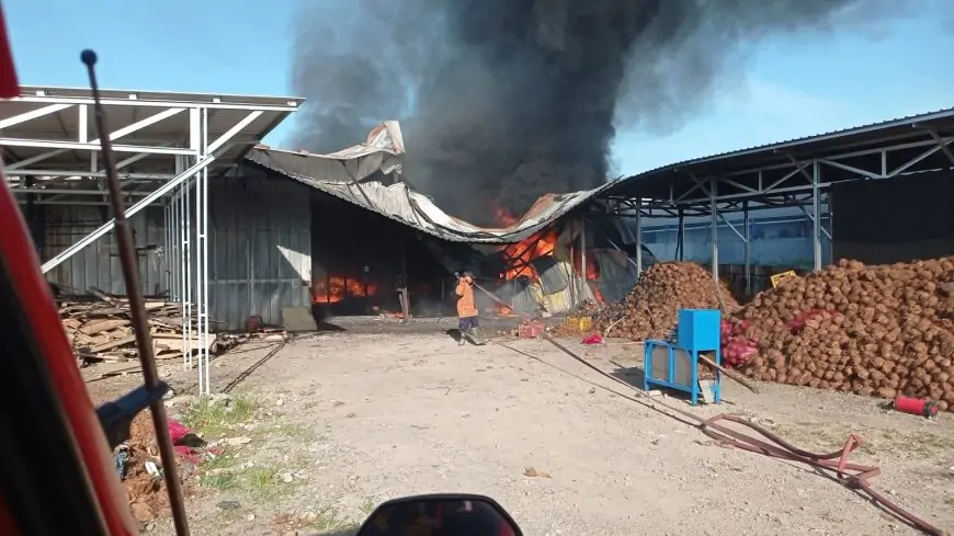 Gudang Kopra dan Belerang di Kedamean Dilalap Api, Pemadaman Terkendala Bau Menyengat