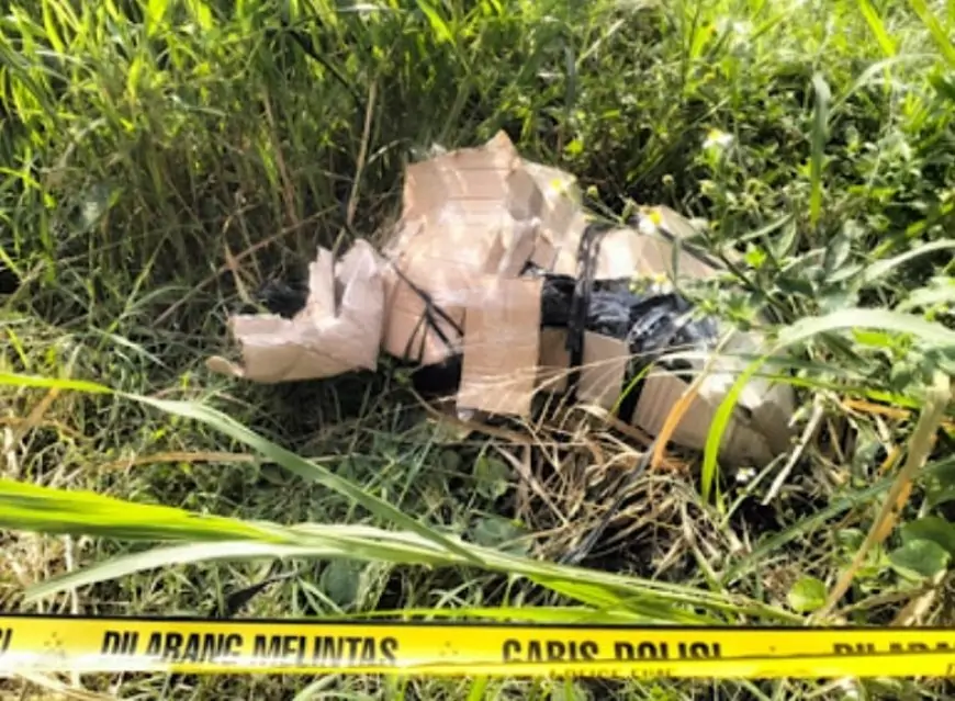 Warga Digegerkan Penemuan Mayat Terbungkus Kardus di Tepi Jalan Raya Kedamean