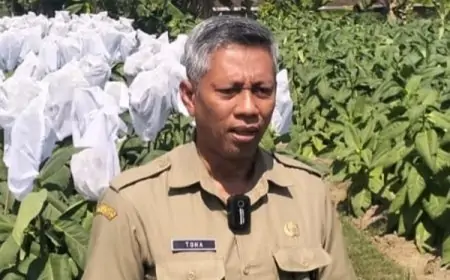 Tembus Jalan dan Irigasi, DKPP Blitar Perkuat Infrastruktur Tembakau dari DBHCHT