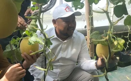 Budidaya Melon Greenhouse Terbesar Kedua di Jatim, Bupati Gresik Siap Kembangkan di Program KDMP Indonesia