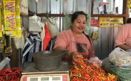 Stok Melimpah, Harga Sayur Mayur di Jombang Merosot 