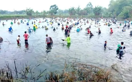 Ratusan Warga Gresik Padati Waduk Srumbung, Berebut Ikan dalam Tradisi "Ngubek"
