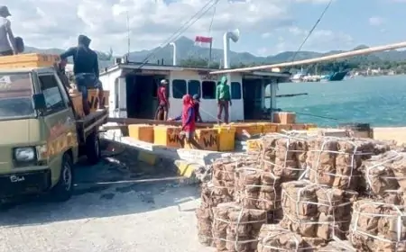 Hilang Kontak di Perairan Bawean Gresik, Awak KLM Ayta CK2 Belum Diketahui Nasibnya