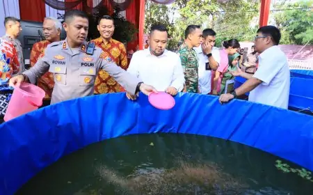 80 Kolam Budidaya Lele Serentak Diluncurkan