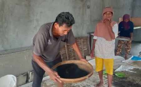 Cuaca Ekstrem, Petani Bayam di Kudu Jombang Sumringah Harga Panen Stabil  