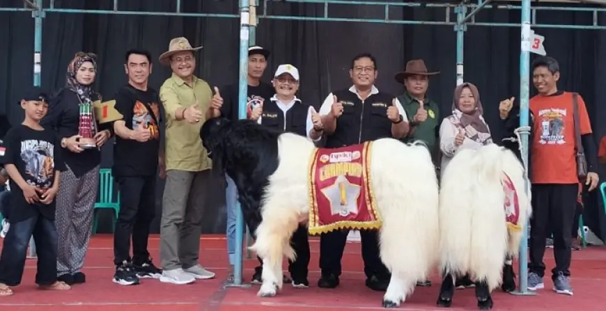 Disnak Jombang Gelar Kontes Nasional Kambing PE Kaligesing
