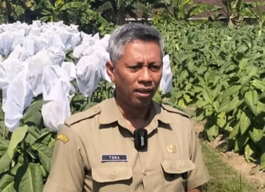 Tembus Jalan dan Irigasi, DKPP Blitar Perkuat Infrastruktur Tembakau dari DBHCHT