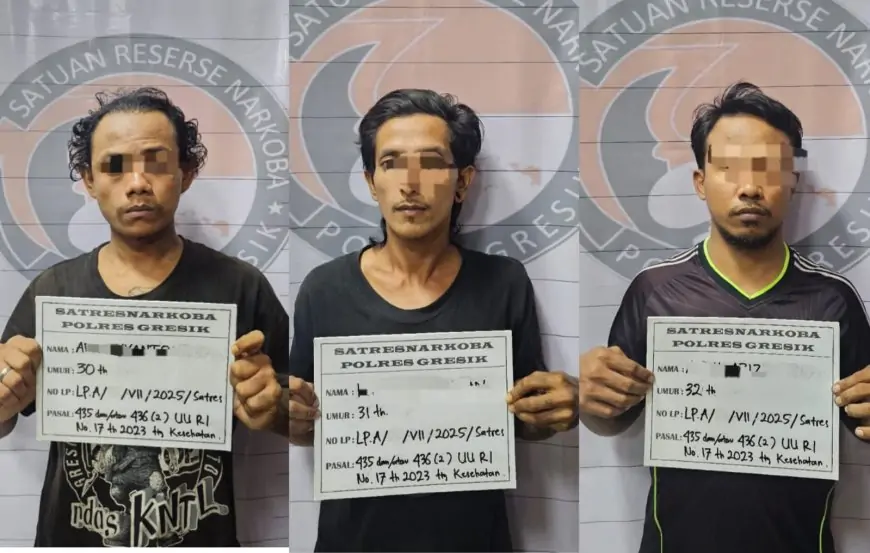 Pengamen Jaringan Pengedar Pil Koplo Diringkus