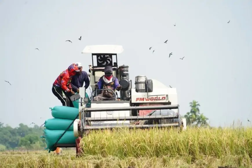 Rasakan Kenaikan Harga Gabah Berkat Terobosan Mas Dhito