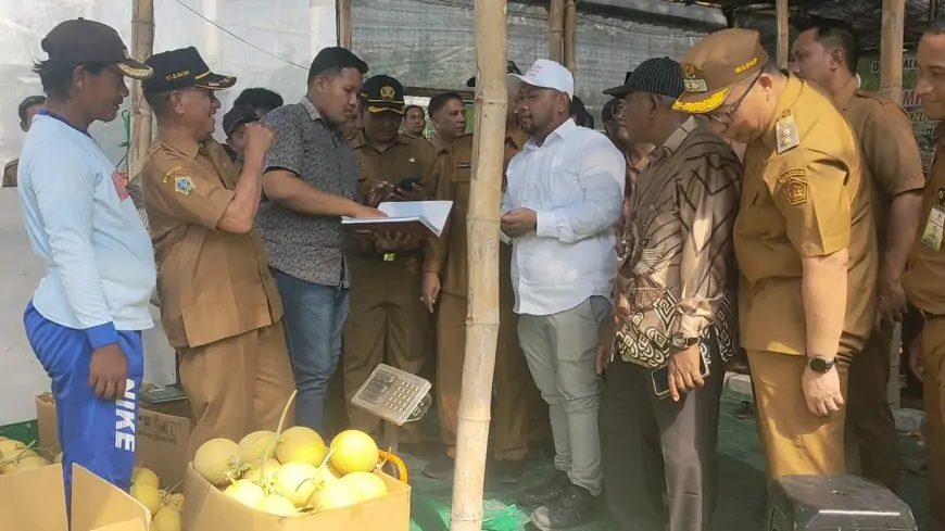 Budidaya Melon Greenhouse Terbesar Kedua di Jatim, Bupati Gresik Siap Kembangkan di Program KDMP Indonesia