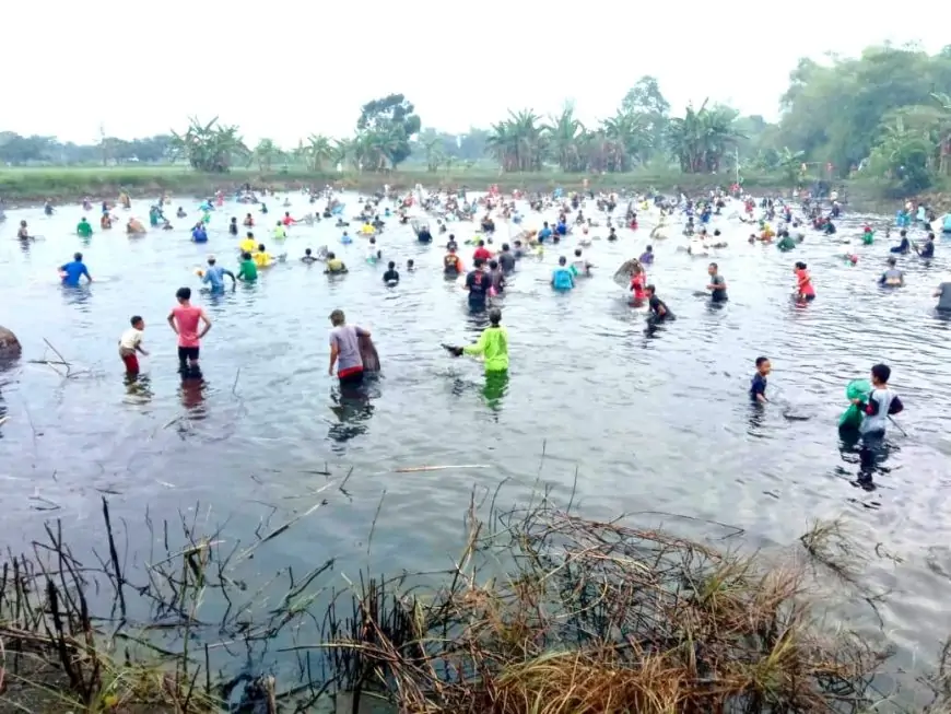Ratusan Warga Gresik Padati Waduk Srumbung, Berebut Ikan dalam Tradisi "Ngubek"