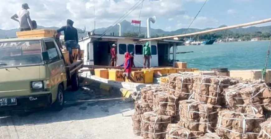 Hilang Kontak di Perairan Bawean Gresik, Awak KLM Ayta CK2 Belum Diketahui Nasibnya