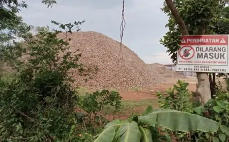 Warga Mengeluh Sesak Nafas dan Mata Perih Akibat Asap Pabrik Arang