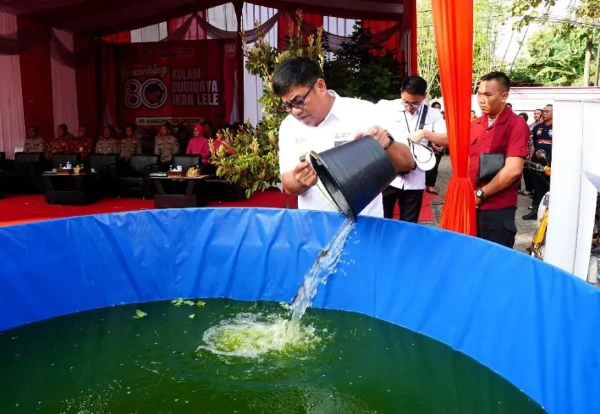 80 Desa Bergerak: Petrokimia Gresik Hidupkan Ekonomi Lewat Budidaya Lele