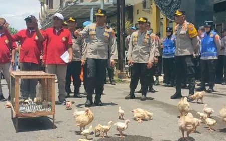 Resah Didatangi Oknum APH, Peternak Ayam Demo Sambil Melepas Ayam di  Polres Lamongan