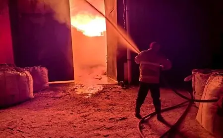 Gudang Kayu PT Rajawali di Driyorejo Terbakar Hebat, Diduga Akibat Korsleting Listrik