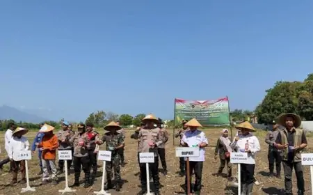 Perum Bulog Perkuat Penyerapan Jagung, Jaga Stok dan Harga di Tengah Lonjakan Pasar