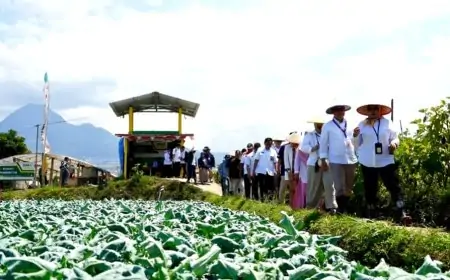 Berkat Program TAMENG Petrokimia Gresik, Dari Limbah Jadi Berkah dan Panen Melimpah