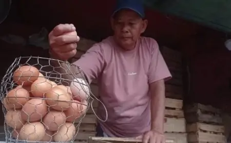 Harga Telur Ayam Ras  Tembus Rp 29.000 Perkilogram