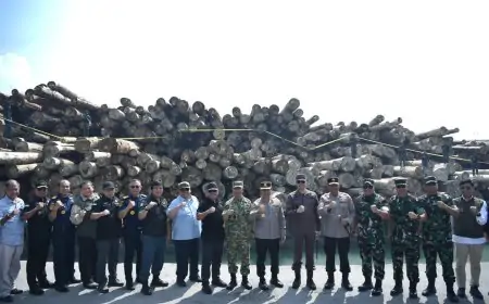 Ungkap Illegal Logging Rp240 Miliar di Gresik, Kepala BPKP RI Apresiasi Satgas PKH