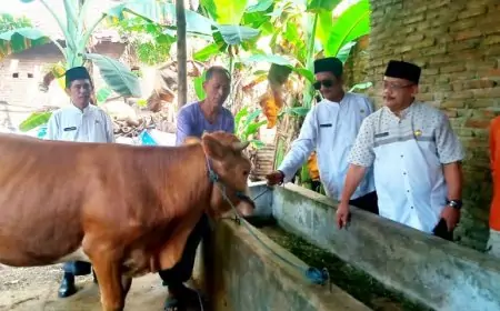 Dinas Peternakan Jombang Sidak Bantuan Ternak