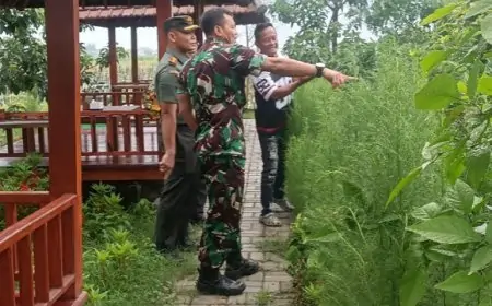 Kasdam V/Brawijaya Tinjau Klaster Pertanian Canggih Kodim Jombang