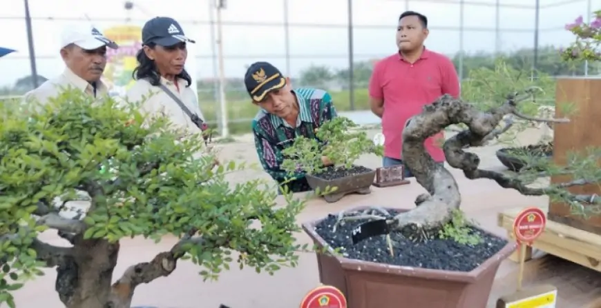 Ratusan Bonsai Meriahkan Sambung Rasa Bonsai Grumbul