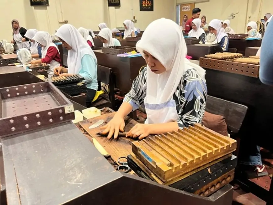 Cerutu Premium Jember Siap Rebut Pasar Amerika