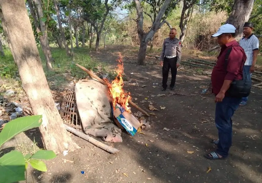 Meresahkan, Arena Judi Sabung Ayam Dibakar Polisi