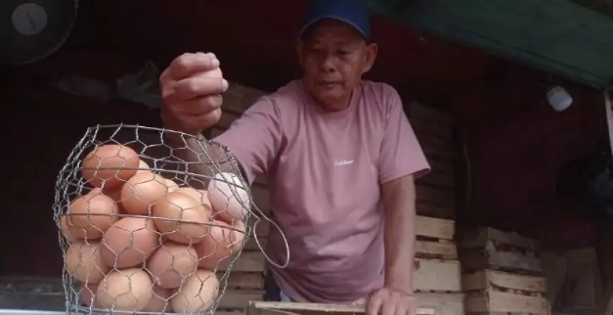 Harga Telur Ayam Ras  Tembus Rp 29.000 Perkilogram