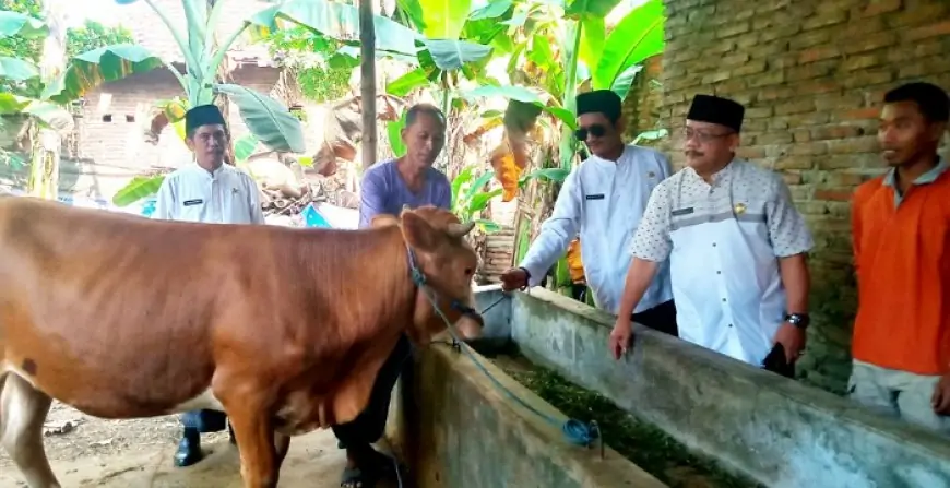 Dinas Peternakan Jombang Sidak Bantuan Ternak