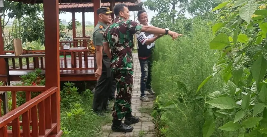 Kasdam V/Brawijaya Tinjau Klaster Pertanian Canggih Kodim Jombang