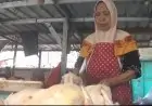 Harga  Daging Ayam Melambung Tinggi