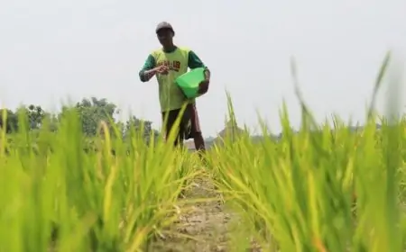 Jombang Ajukan Pupuk Bersubsidi 2026 Capai 84 Ribu Ton